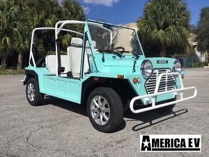 affordable golf cart rental, golf cart rent fort lauderdale, cart rental fort lauderdale