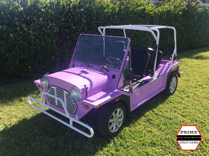 affordable golf cart rental, golf cart rent fort lauderdale, cart rental fort lauderdale