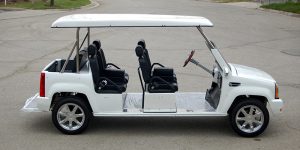 affordable golf cart rental, golf cart rent fort lauderdale, cart rental fort lauderdale