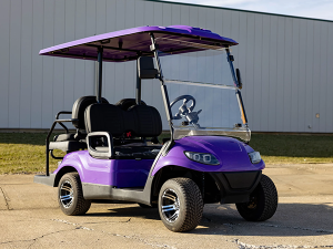 fort lauderdale golf cart rental, golf cart rentals, golf cars for rent